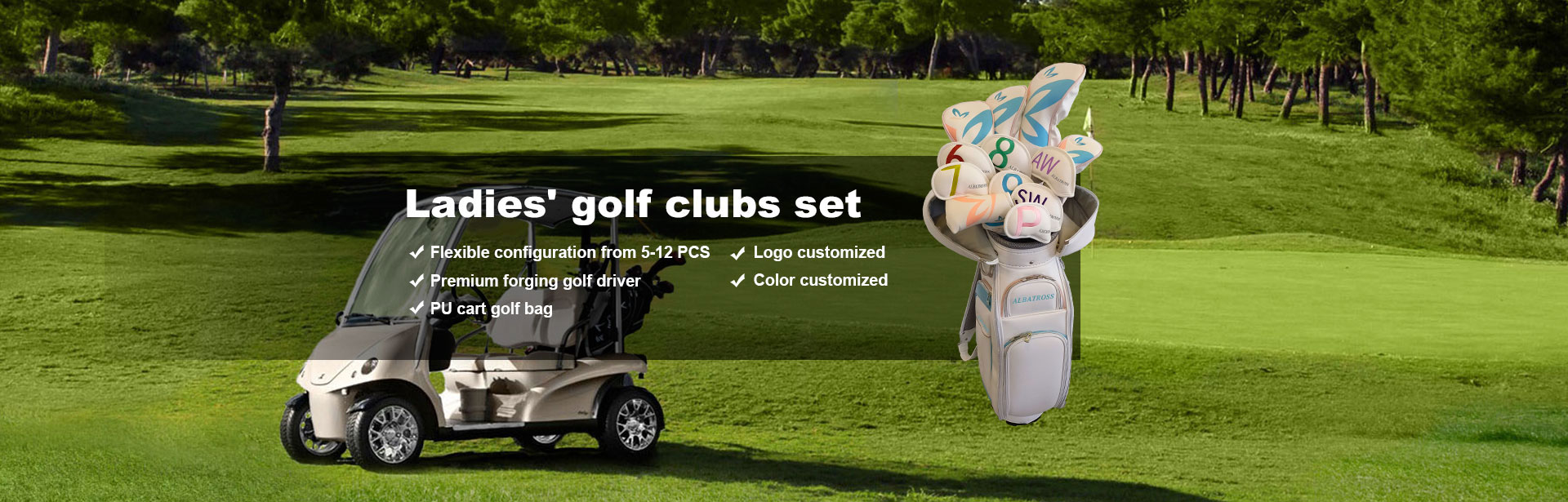 Set de crose de golf pentru femei din China