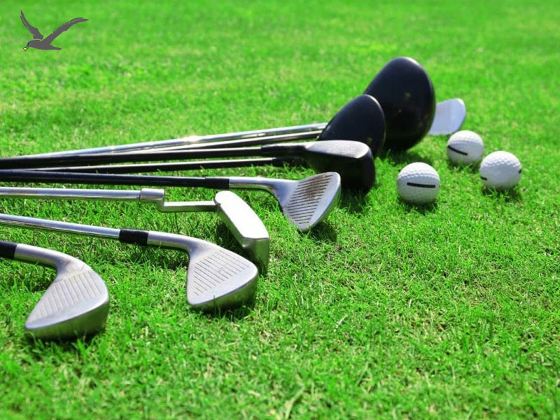 Cum să alegi seturi potrivite de crose de golf pentru consumatorii tăi