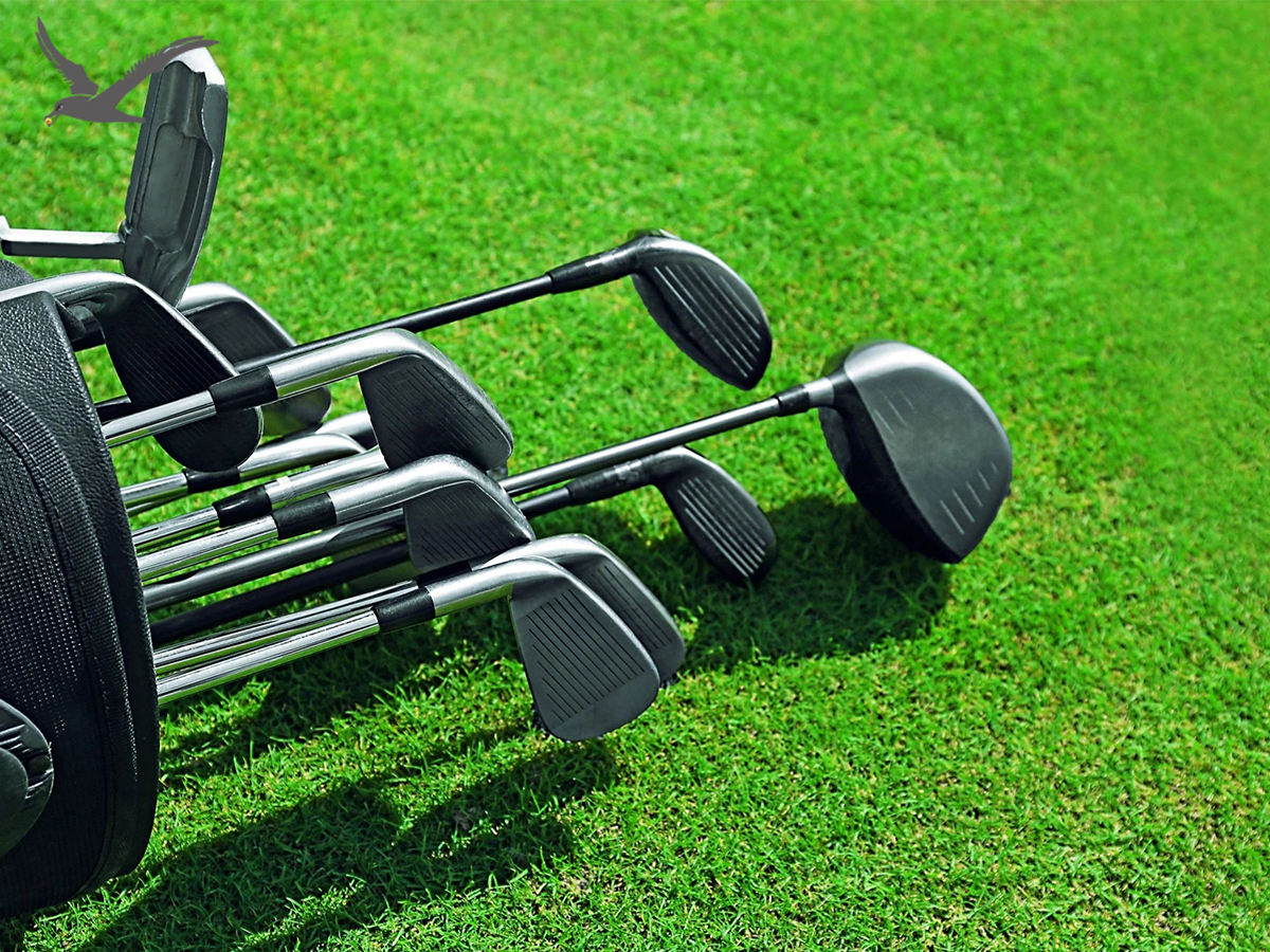 Despre diplomele clubului de golf