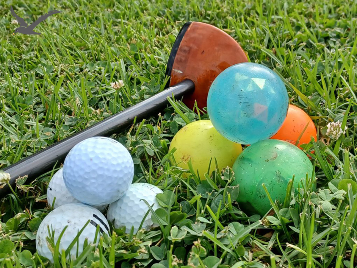 Diversitatea mingilor de golf din parc