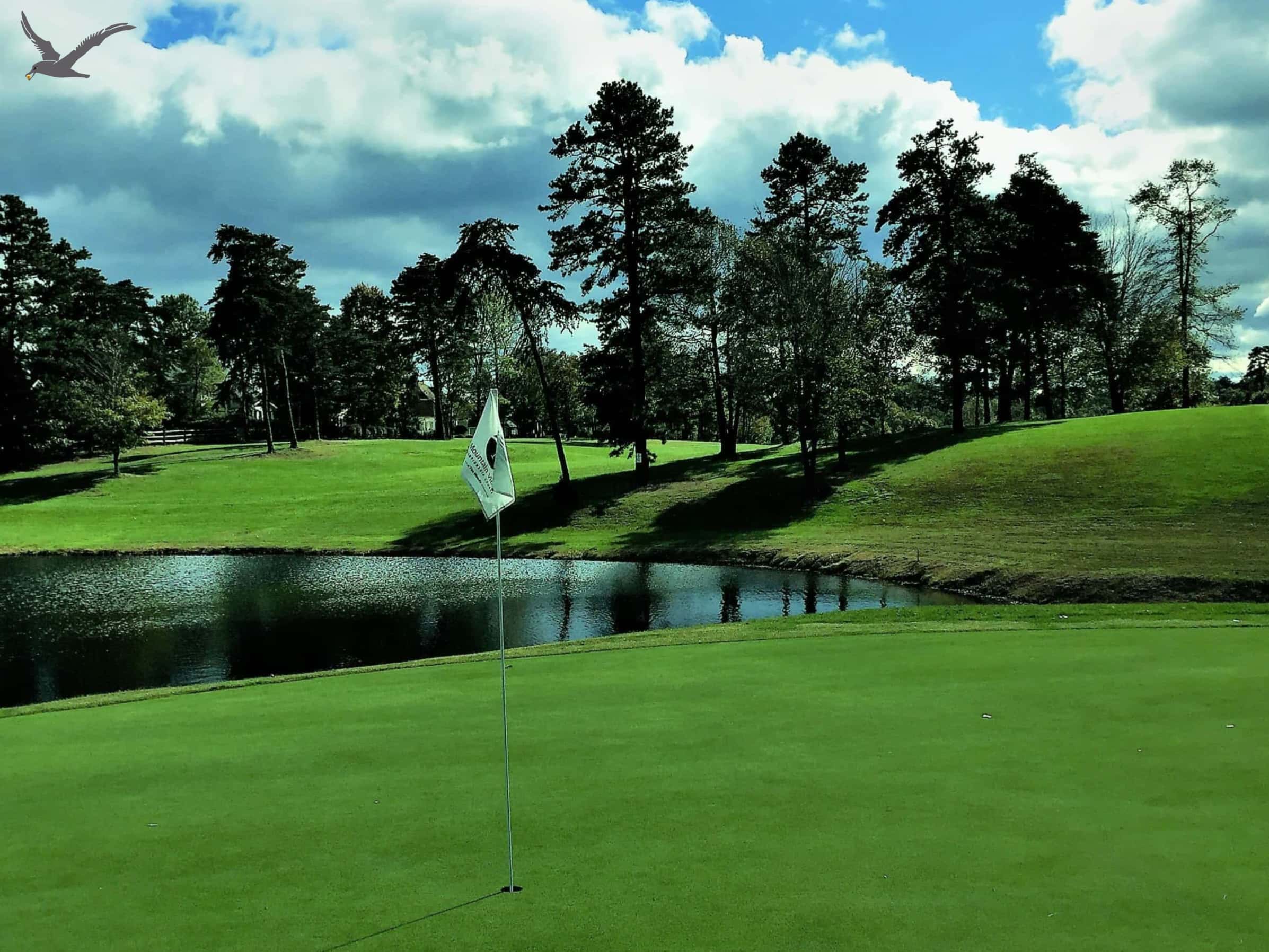 Sportul Albatros: 10 fapte rapide pentru a cunoaște golful (Partea 1)